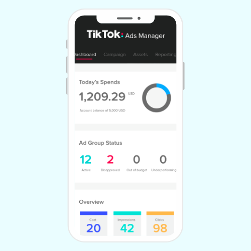 TikTok releases an Ads manager platform guide 